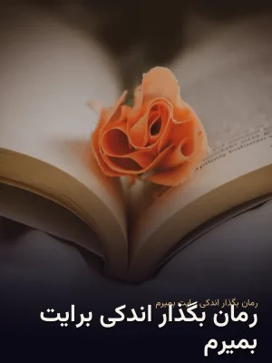 رمان بگذار اندکی برایت بمیرم
