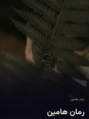 رمان هامین