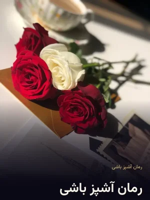 رمان آشپز باشی