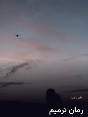 رمان ترمیم