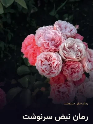 رمان نبض سرنوشت
