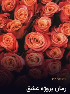 رمان پروژه عشق