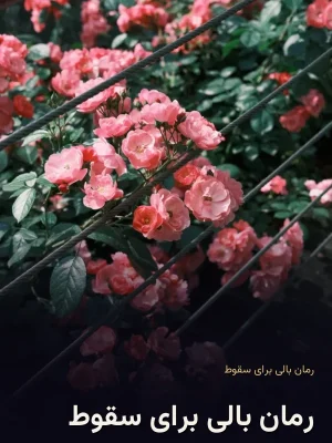 رمان بالی برای سقوط