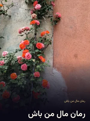 رمان مال من باش