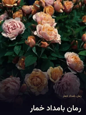 رمان بامداد خمار
