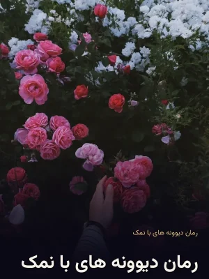 رمان دیوونه های با نمک