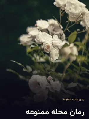 رمان محله ممنوعه