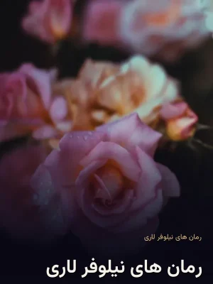 رمان های نیلوفر لاری