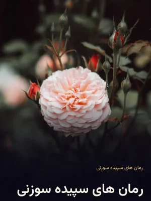 رمان های سپیده سوزنی