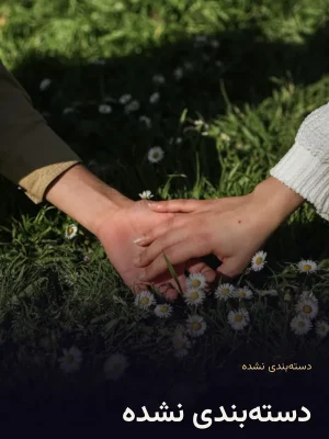 دسته‌بندی نشده