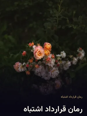 رمان قرارداد اشتباه