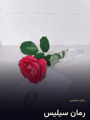 رمان سیلیس