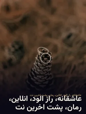 عاشقانه، راز الود، انلاین، رمان، پشت اخرین نت
